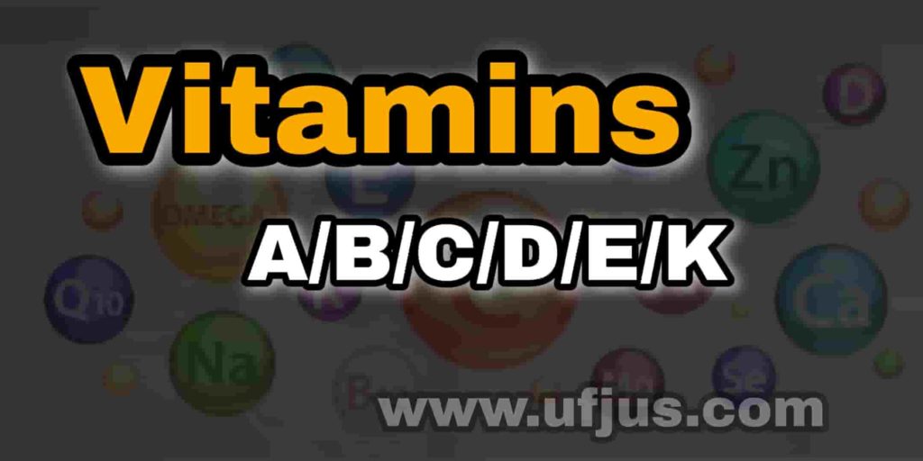 Vitamins Questions and Answers For All Competitive Exams